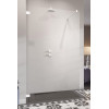 Ścianka prysznicowa 50 Essenza Pro Walk-in White Radaway (10103050-04-01)