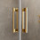 Drzwi prysznicowe 120 Idea Gold DWJ Radaway (387016-09-01R)
