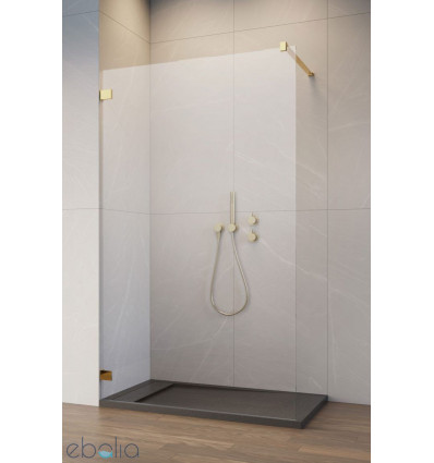 Ścianka prysznicowa 50 Essenza Pro 8 Walk-in White Radaway (1012050-09-01)