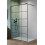 Kabina 120 Nes Black walk-in II Factory Radaway (10013120-54-55)
