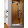 Drzwi wnękowe 100 Premium Plus DWJ Radaway (33303-01-01N)