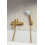 Natrysk punktowy Moza Brushed Gold KFA Armatura (841-220-31)