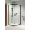 Kabina prysznicowa 80x80 Premium Pro Black PDD Radaway (1013000-01-01 + 1013100-54-01)