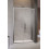Drzwi prysznicowe 100 Lewe Premium Pro DWJ Radaway (1014100-01-01L)
