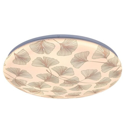 Lampa sufitowa Benita Rabalux (3076)
