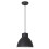 Lampa wisząca Derek Rabalux (2578)