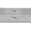 Lampa sufitowa Negan Rabalux (71020)