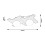 Lampa sufitowa Norwood Rabalux (6918)