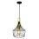 Lampa wisząca Parov Rabalux (4925)