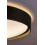 Lampa sufitowa Achilles Rabalux (3146)