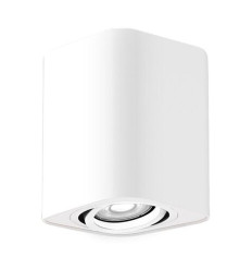 Natynkowe oświetlenie downlight biały mat Kobald Rabalux (2050)
