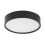 Lampa sufitowa Larcia Rabalux (75011)