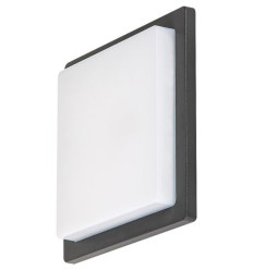 Zewnętrzna lampa ścienna Ontario Rabalux (7204)