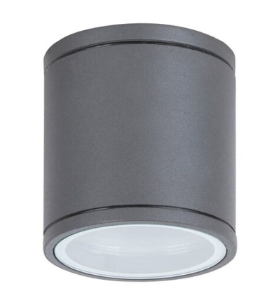 Zewnętrzna lampa sufitowa Akron Rabalux (8150)