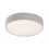 Lampa sufitowa Larcia Rabalux (75012)