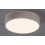 Lampa sufitowa Larcia Rabalux (75012)