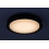 Lampa sufitowa Foster Rabalux (3283)