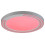 Lampa sufitowa Triton Rabalux (2249)