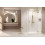 Kabina prysznicowa 110x80 Essenza Pro Brushed Gold KDJ Radaway (10097110-99-01R + 10098080-01-01)