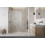 Ścianka prysznicowa 60 Essenza Pro Brushed GunMetal Walk-in Radaway (10103060-92-01)