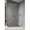 Ścianka prysznicowa 80 Essenza Pro Brushed Nickel Walk-in Radaway (10103080-91-01)