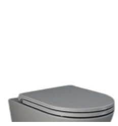 Deska wc slim wolnoopadająca szary mat Feeling RAK Ceramics (RSTSC3901503)