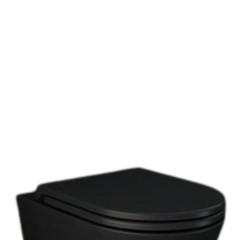 Deska wc slim wolnoopadająca czarny mat Feeling RAK Ceramics (RSTSC3901504)
