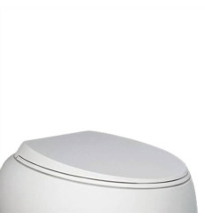 Deska wc w/o biały mat Rak - cloud RAK Ceramics (CLOSC3901500)