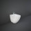 Bidet stojący 52x38 cm biały połysk Des RAK Ceramics (DESBD2015AWHA)