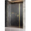 Drzwi prysznicowe 120 Nes Brushed Gold DWJS Radaway (10038120-99-01R)
