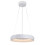 Lampy wiszące Ceilo Rabalux (72002)