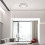 Lampy sufitowe Dettora Rabalux (71046)