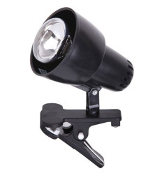 Lampy stołowe Clip Rabalux (4357)