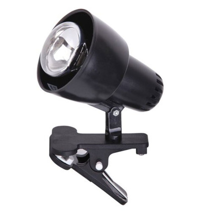 Lampy stołowe Clip Rabalux (4357)