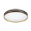 Lampy sufitowe Gandor Rabalux (71141)