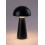 Lampy stołowe Ishtar Rabalux (76007)