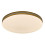 Lampy sufitowe Oscar2 Rabalux (71177)