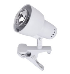 Lampy stołowe Clip Rabalux (4356)