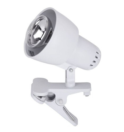Lampy stołowe Clip Rabalux (4356)