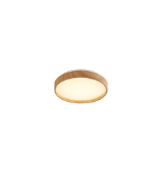 Lampy sufitowe Leana2 Rabalux (71143)