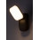 Zewnętrzne lampy ścienne Odiel Rabalux (77057)