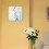 Lampy sufitowe Elina Rabalux (3692)