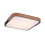 Lampy sufitowe Arild Rabalux (71146)
