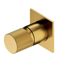 Bateria prysznicowa podtynkowa Contour złote szczotkowane Omnires (CT8045GLB)