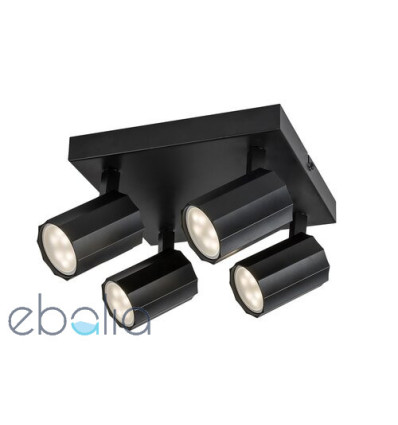 Lampy sufitowe Rogelio Rabalux (73026)