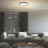 Lampy sufitowe Paulos Rabalux (71074)