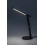 Lampy stołowe Isak Rabalux (74198)