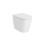 Miska WC stojąca Rimless BTW 560x370 BIAŁY MAT INSPIRA COLORS Roca (A347526620)