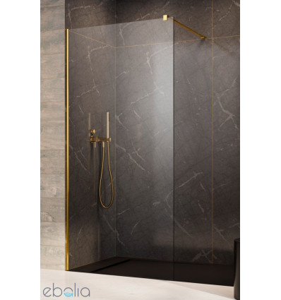 Kabina Walk-in 50 Modo X Gold II Radaway (389254-09-01)