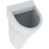Pisuar Flow Geberit (235900000.0)